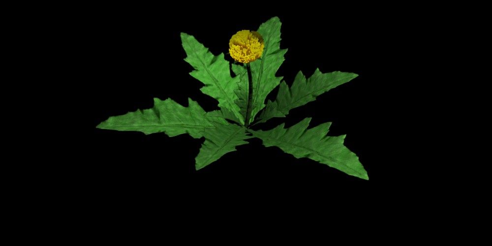 JS LinAx nature weed2 preview image 1